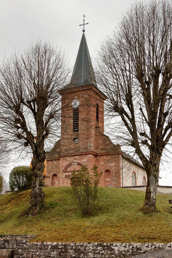 SAINT MICHEL sur Meurthe - www.baladesenfrance.info  - Guy Peinturier - Saint-Michel-sur-Meurthe