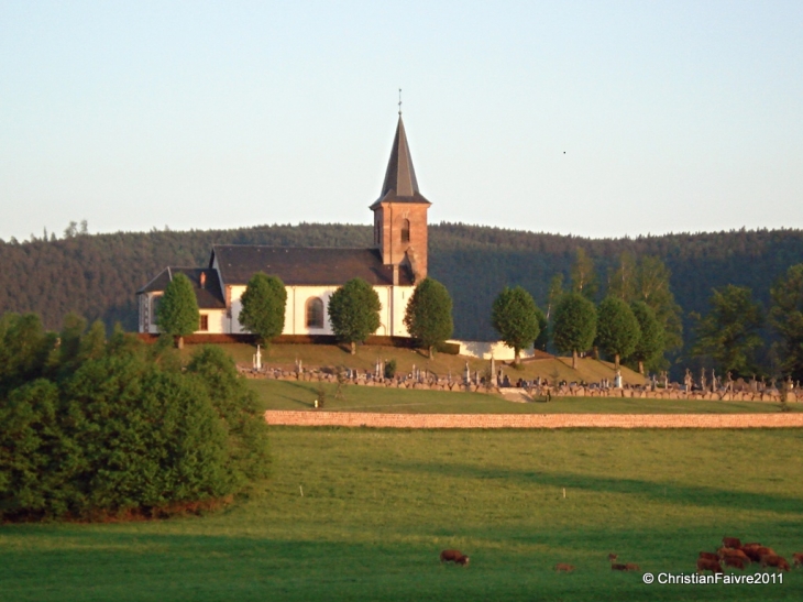 L'église vue de Bréhimont - Saint-Michel-sur-Meurthe