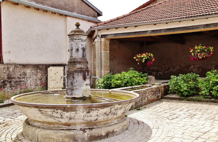 Fontaine-Lavoir - Serécourt