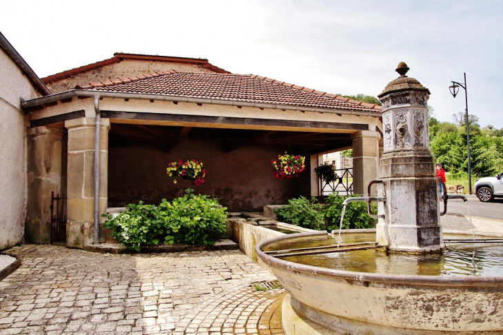 Fontaine-Lavoir - Serécourt