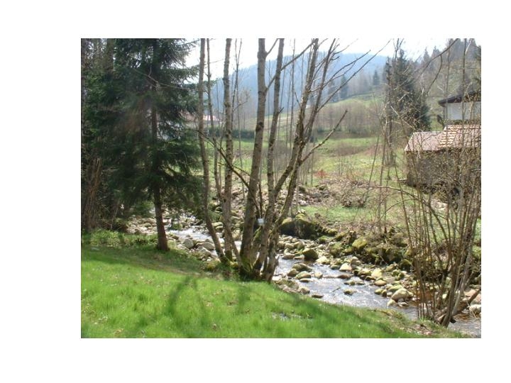 Petite touche des Hautes-Vosges - Ventron