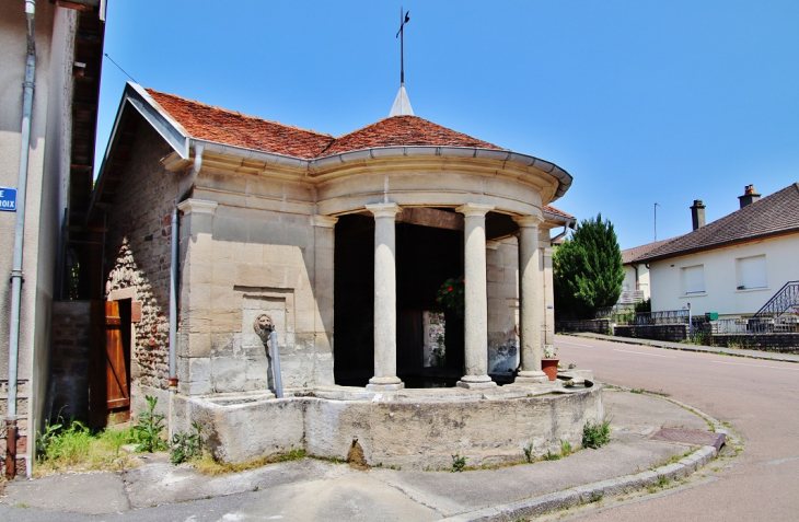 Le Lavoir - Viviers-le-Gras