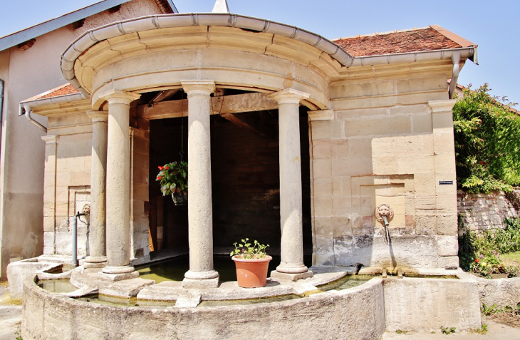 Le Lavoir - Viviers-le-Gras