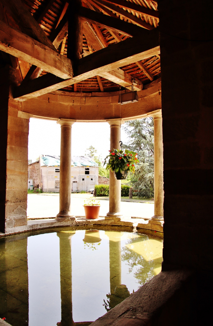 Le Lavoir - Viviers-le-Gras