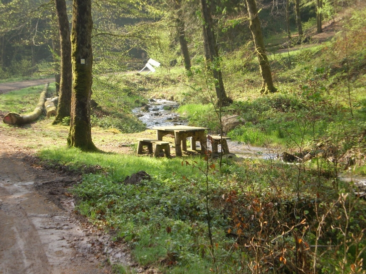 Coin de detente a la torelle - Xertigny