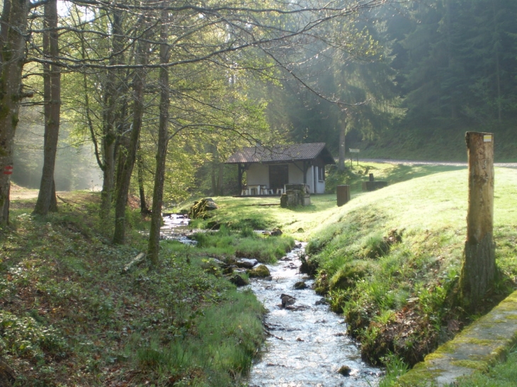 Chalet a la torelle - Xertigny