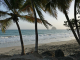 Photo précédente de Le Diamant la plage bordée de cocotiers