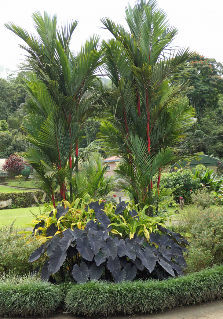 Le Domaine d'Emeraude - Le Morne-Rouge