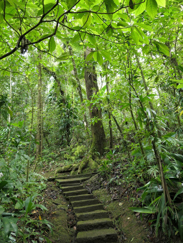 Le Domaine d'Emeraude - Le Morne-Rouge