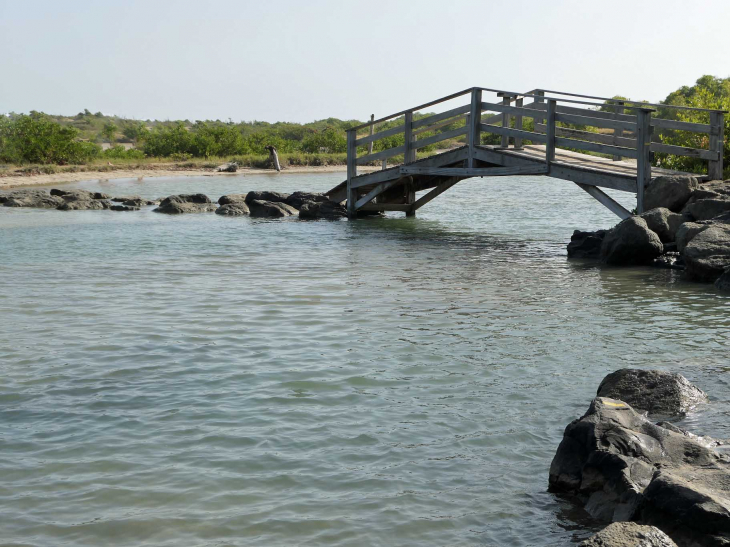 Le pont sur la rivière de l'étang des Salines - Sainte-Anne