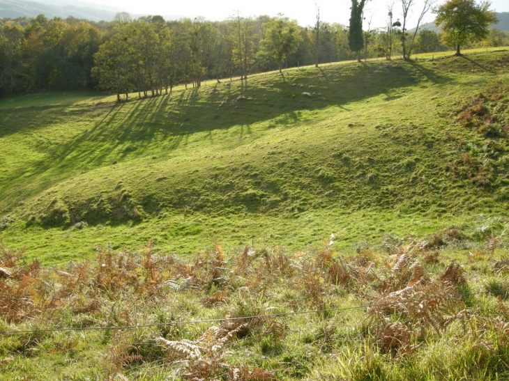 Pré en automne - Baulou