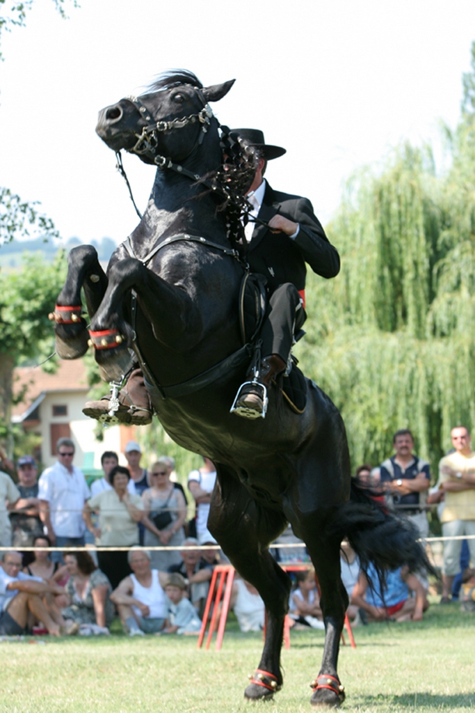 Spectacle à Caumont