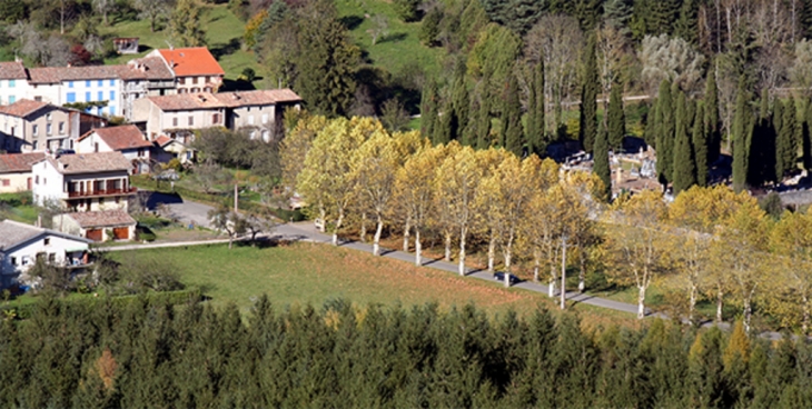 Allée des platanes - Fougax-et-Barrineuf