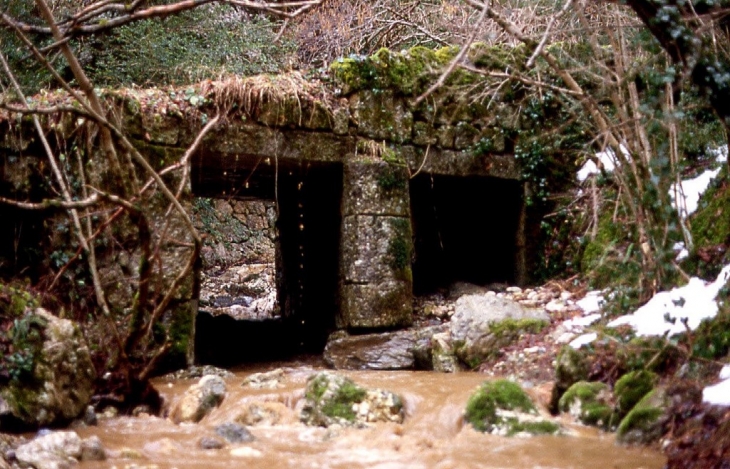 Pont romain, les Gorges de la Frau - Fougax-et-Barrineuf