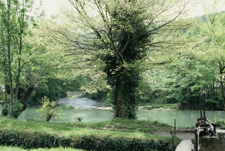 L'Hers - La Bastide-sur-l'Hers