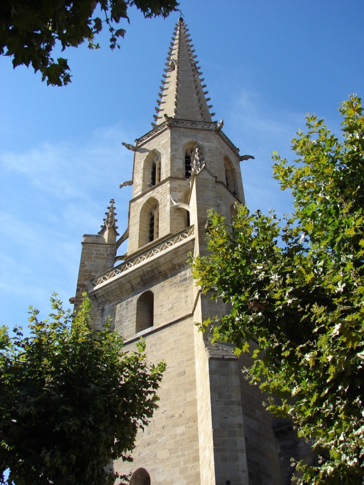 L'Eglise - Mirepoix