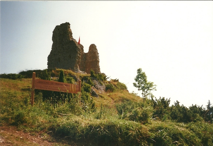 Le Château - Montaillou