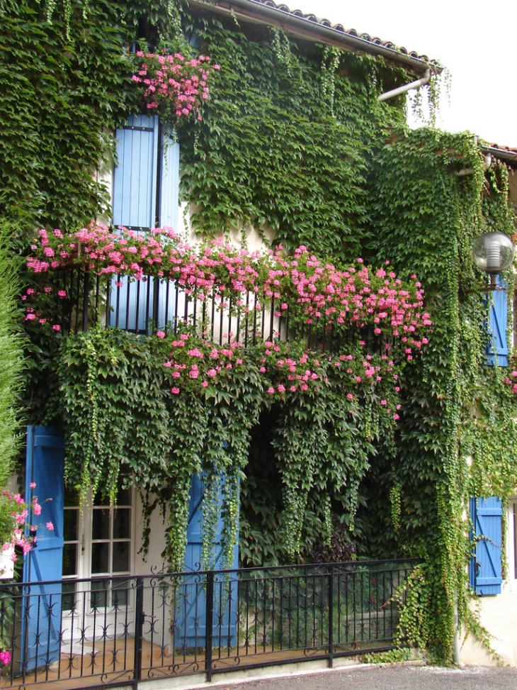 Une Maison bien fleurie - Montferrier