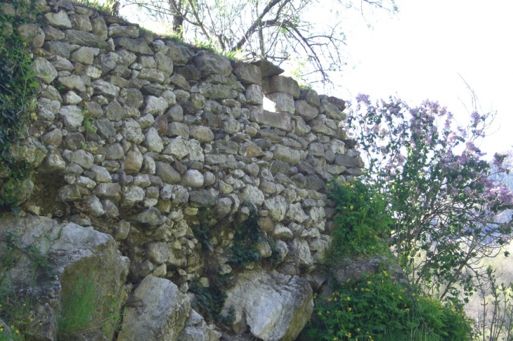 CHATEAU (ruine) - Montferrier