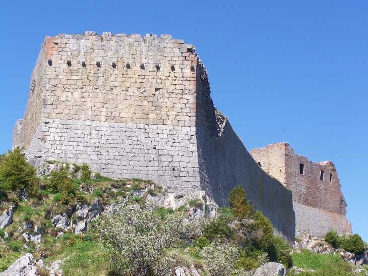 Chateau de Montsegur - Montségur