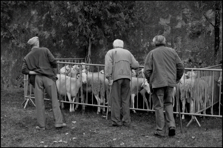 Foire de septembre 2011 à Tarascon - Tarascon-sur-Ariège