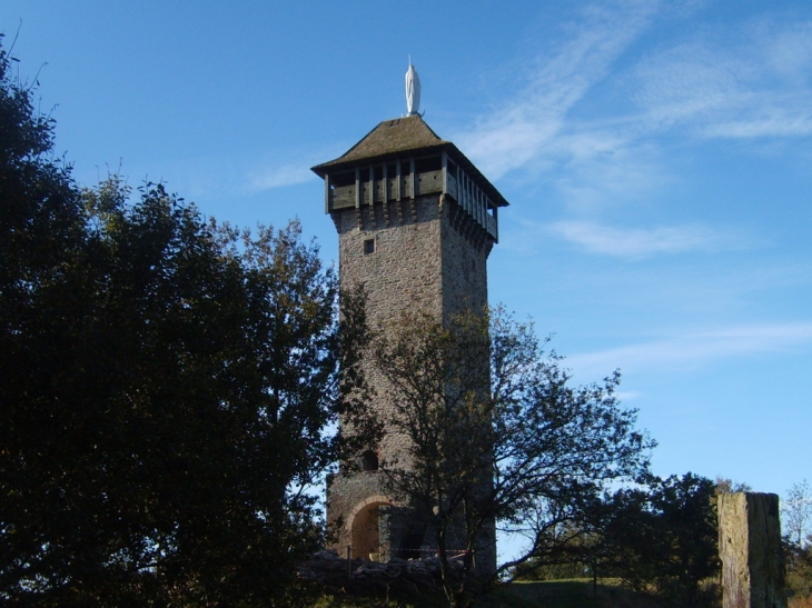 Tour médiévale de Peyrebrune - Alrance