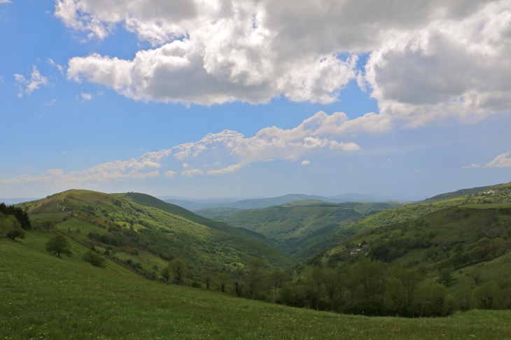 Près de Naves d'Aubrac. - Aurelle-Verlac