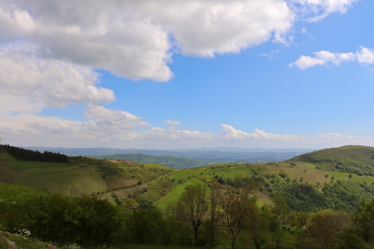 Vue de Naves d'Aubrac. - Aurelle-Verlac