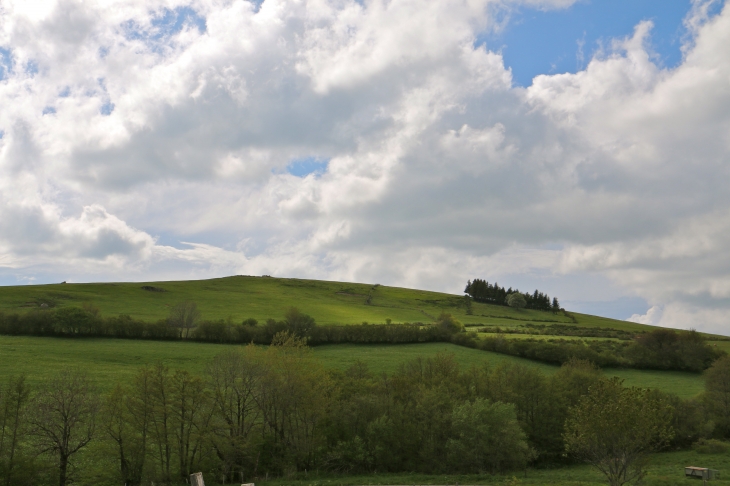 Aux alentours. - Aurelle-Verlac