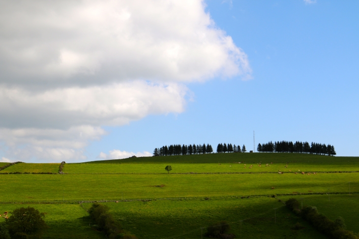 Vue du hameau de Vieurals. - Aurelle-Verlac