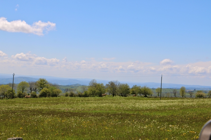 Les alentours. - Aurelle-Verlac