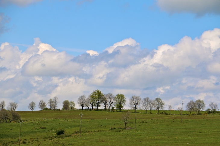 Aux alentours. - Aurelle-Verlac