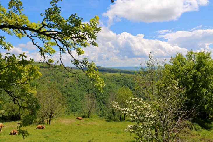 Aux alentours. - Aurelle-Verlac