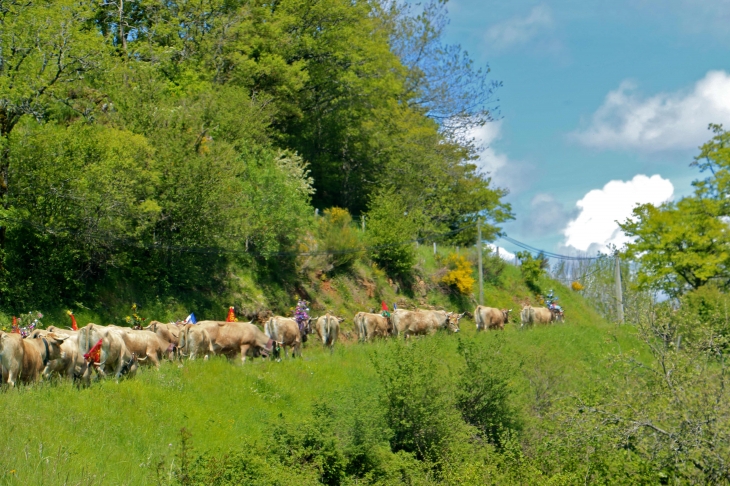 Fête et Marches de l'estive. - Aurelle-Verlac