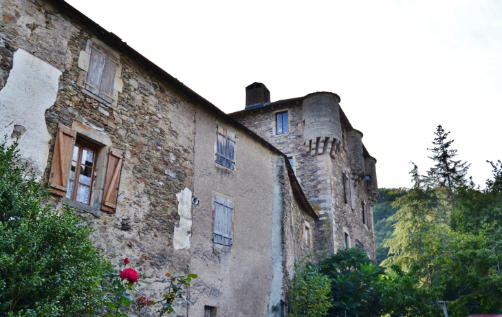 ..Château de Balaguier-sur-Rance