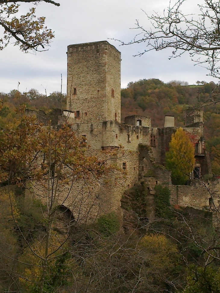 Le Chateau - Belcastel