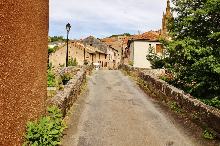 Pont Vieux sur Le Rance - Belmont-sur-Rance