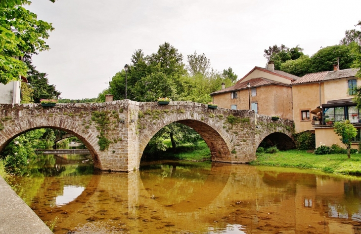 Pont Vieux sur Le Rance - Belmont-sur-Rance