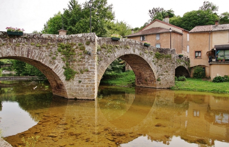 Pont Vieux sur Le Rance - Belmont-sur-Rance