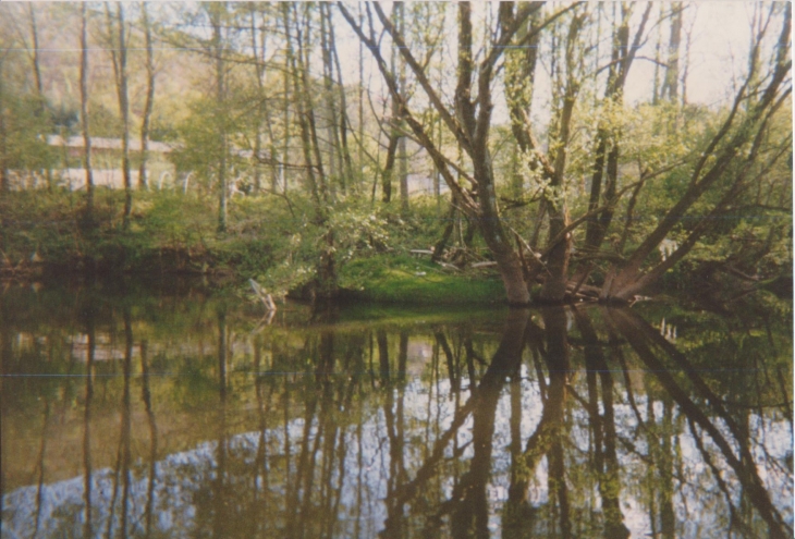 Les berges du Lot à Bouillac 3