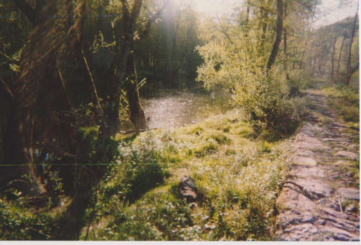 Les berges du Lot à Bouillac 4