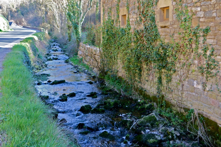 Eau de la source d'Alrance se jetant dans le Dourdou. - Bozouls