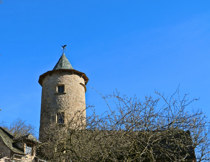 L'une des Tours située de part et d'autre du goulet d'étranglement par lequel le ravin de l'Alrance débouche dans les gorges du Dourdou. - Bozouls