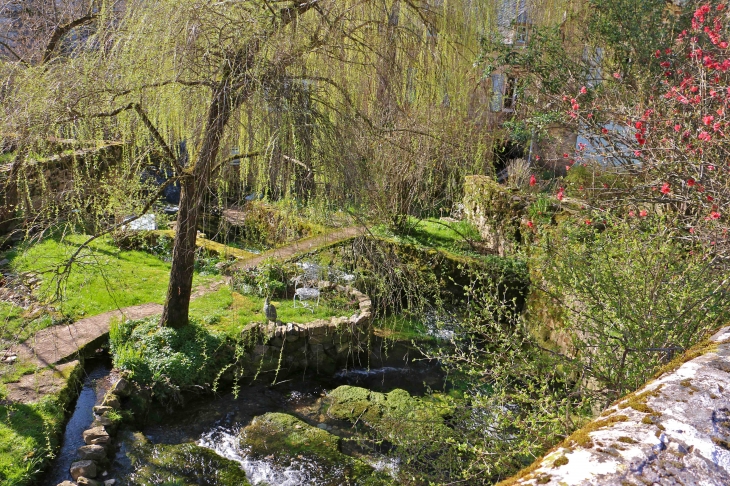 Joli jardin dans le Trou de Bozoul. - Bozouls