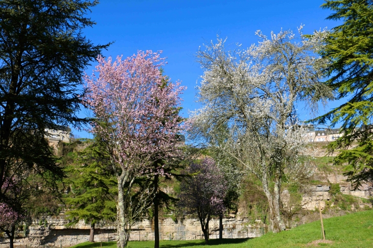 Les jardins de l'église Sainte Fauste. - Bozouls