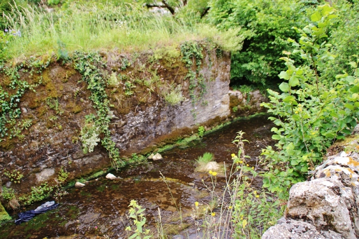 Le Dourdou - Bozouls