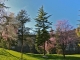 Photo précédente de Bozouls Les jardins de l'église Sainte Fauste.