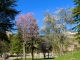 Photo précédente de Bozouls Les jardins de l'église Sainte Fauste.