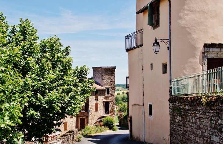 Le Village - Camarès