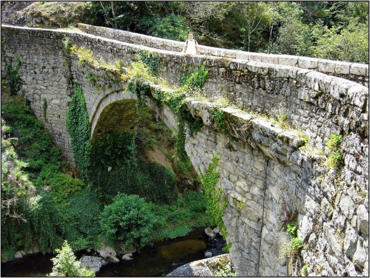 BES-BEDENE Pont du XIVème sur la Selves - Campouriez